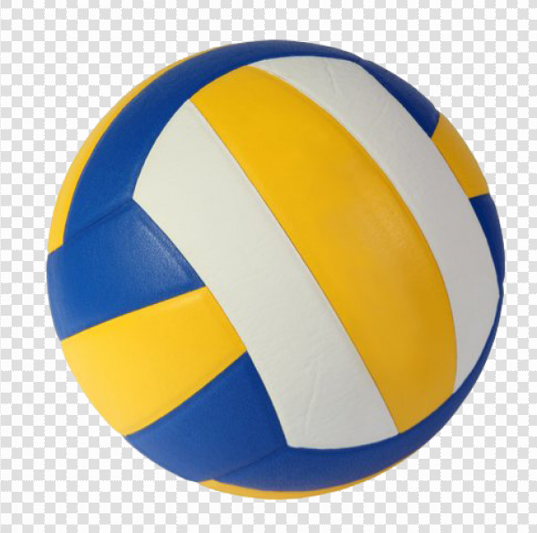 Detail Download Volleyball Nomer 11