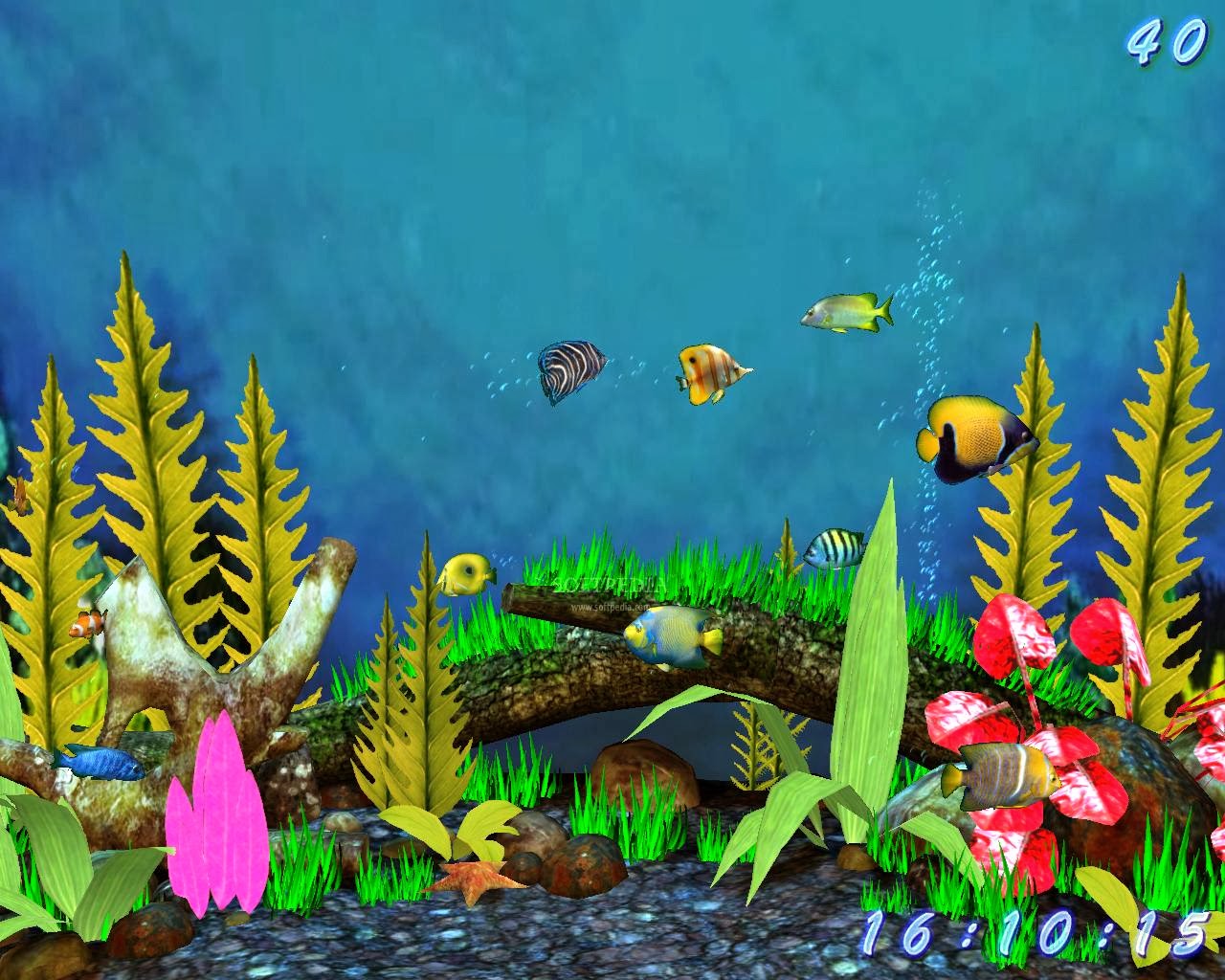 Detail Download Wallpaper Animasi Aquarium Nomer 4