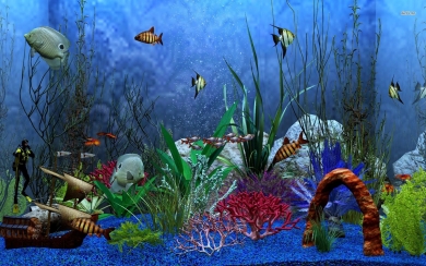 Detail Download Wallpaper Animasi Aquarium Nomer 33