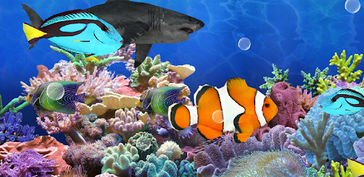 Detail Download Wallpaper Animasi Aquarium Nomer 37