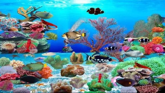 Detail Download Wallpaper Animasi Aquarium Nomer 52