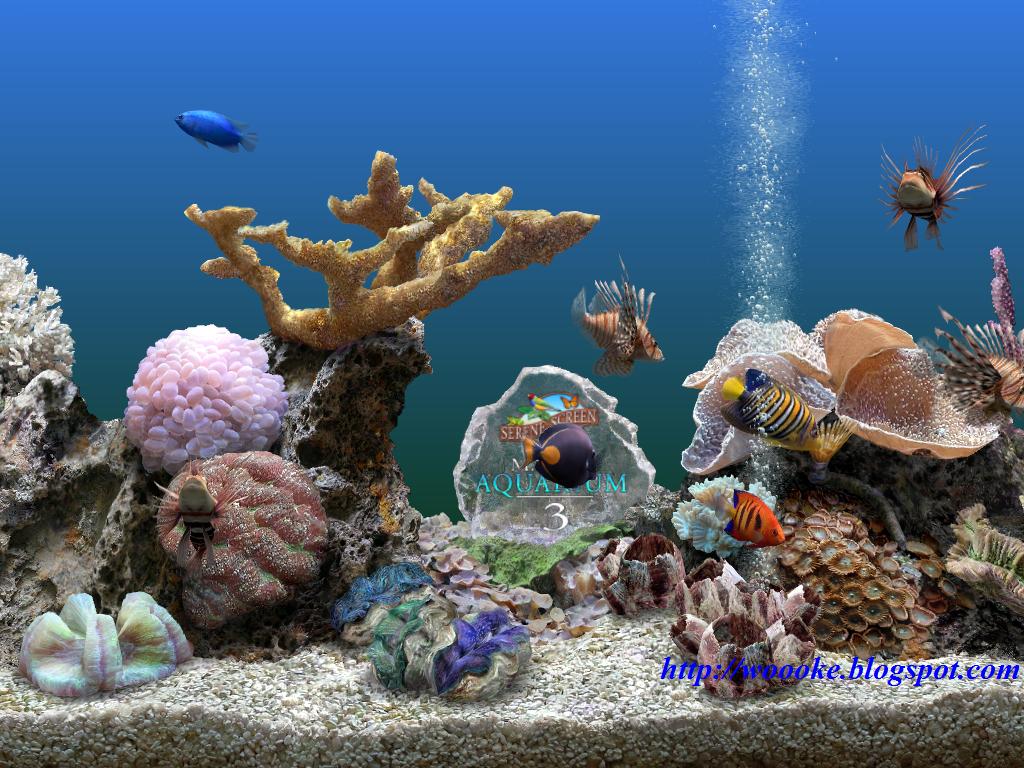 Detail Download Wallpaper Animasi Aquarium Nomer 56