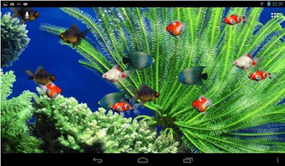 Detail Download Wallpaper Aquarium Nomer 49