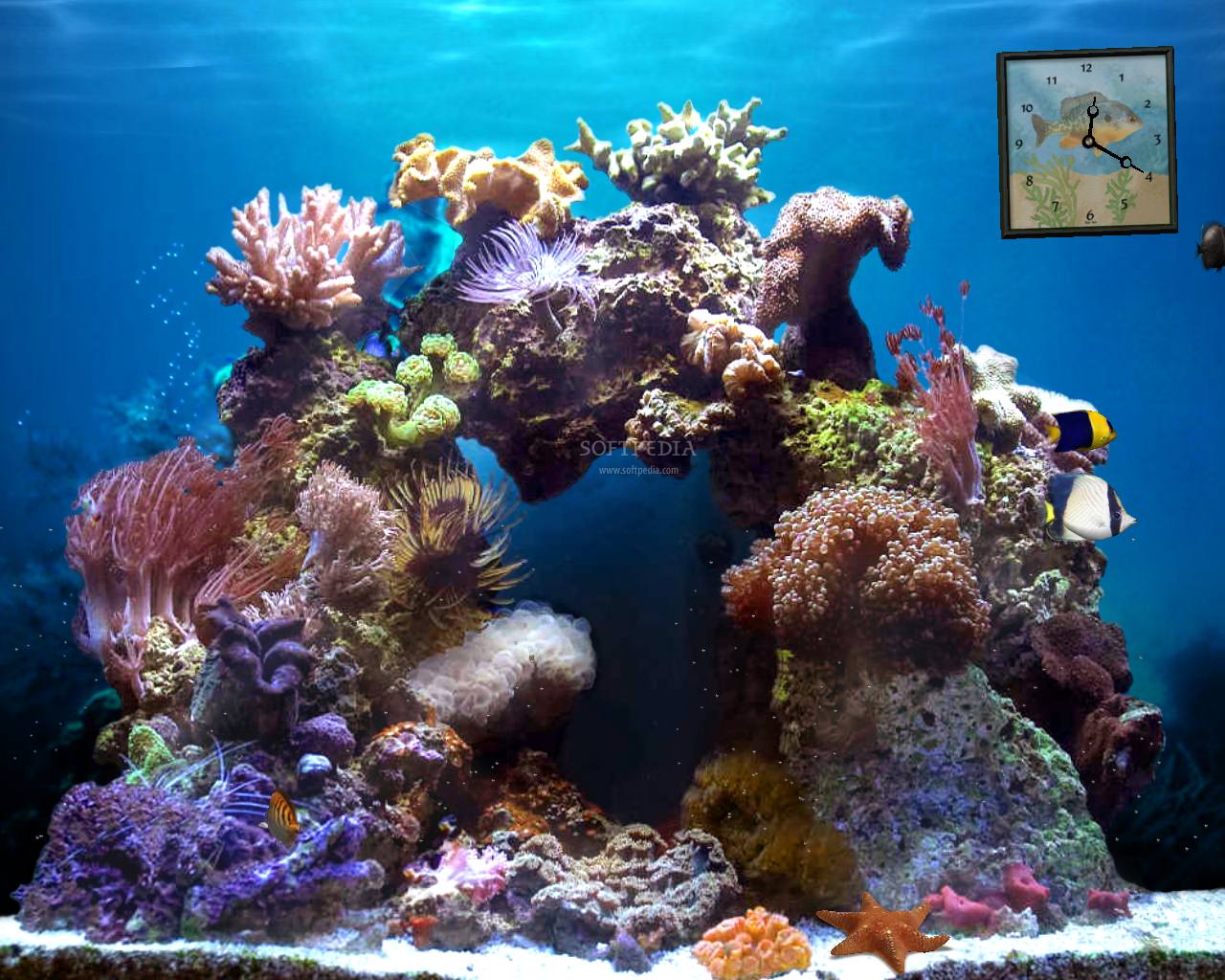 Detail Download Wallpaper Aquarium Nomer 57