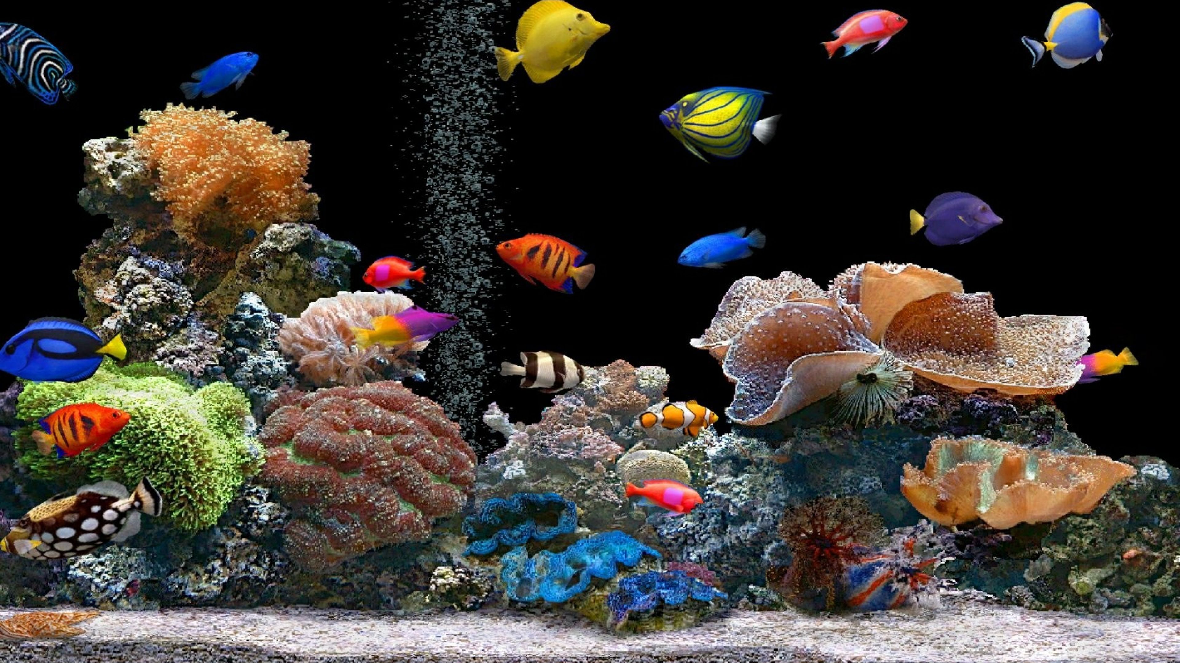 Detail Download Wallpaper Aquarium Nomer 7