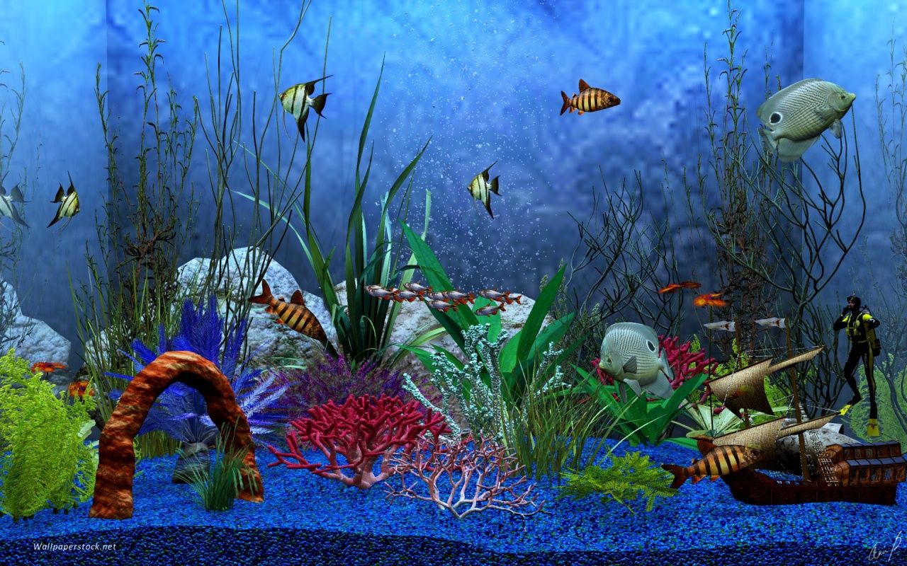 Download Wallpaper Aquarium Bergerak - KibrisPDR
