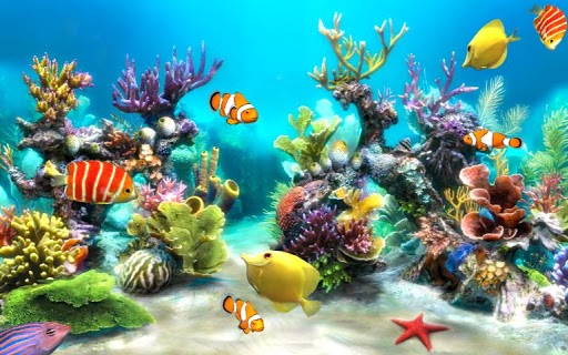 Detail Download Wallpaper Aquarium Ikan Bergerak Nomer 18