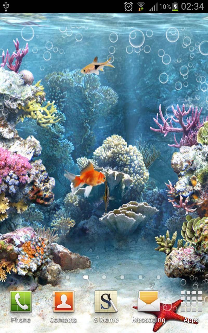 Detail Download Wallpaper Aquarium Ikan Bergerak Nomer 46