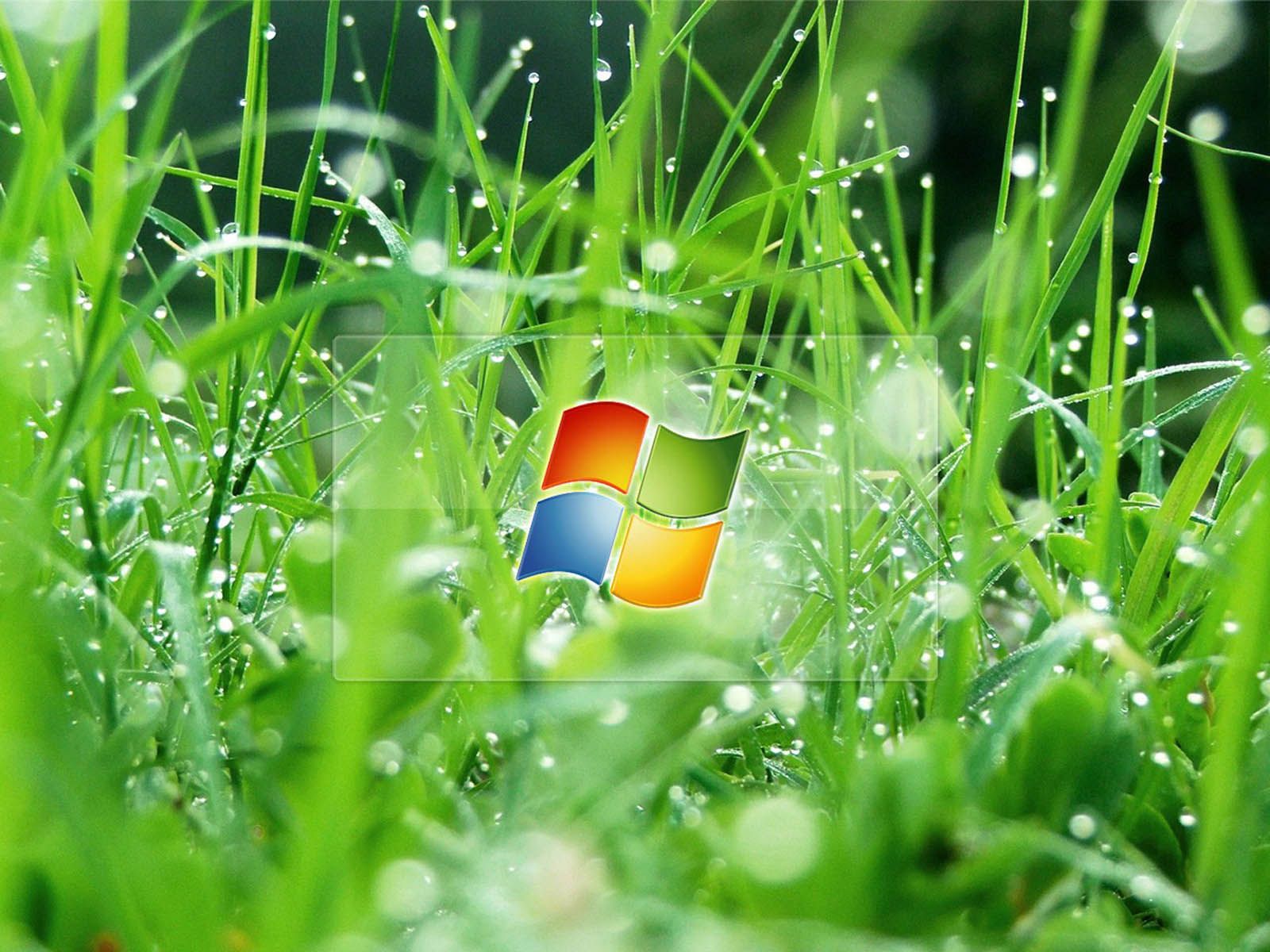 Detail Download Wallpaper Bergerak Windows Xp Gratis Nomer 10