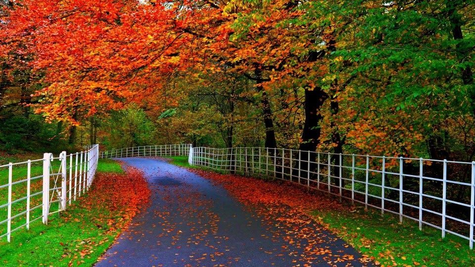 Detail Download Wallpaper Pemandangan Hd Nomer 28