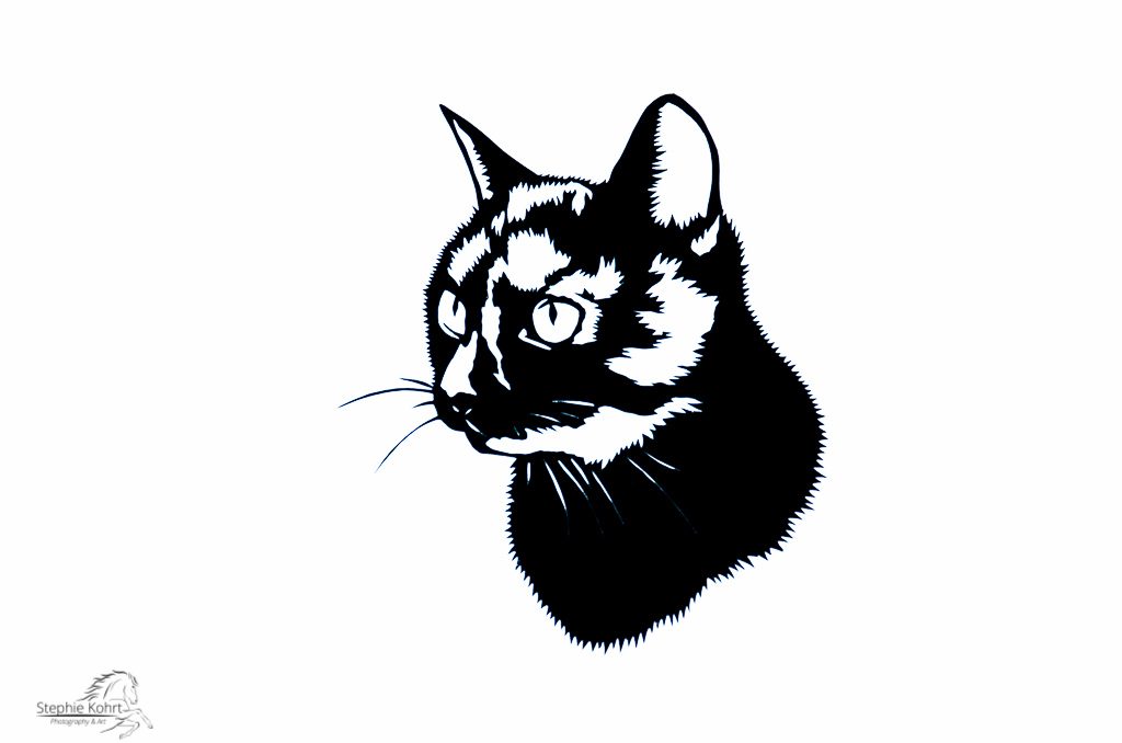 Detail Scherenschnitt Katze Nomer 11