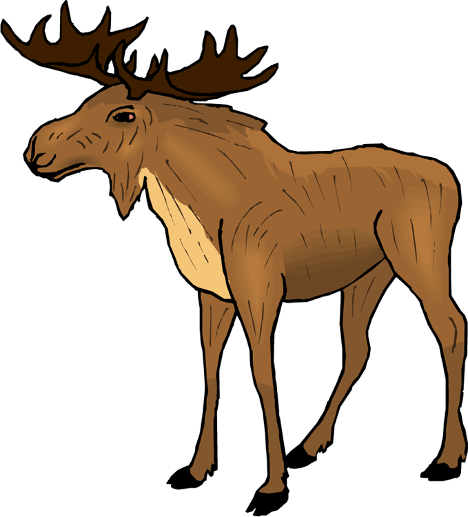 Bild Moos - KibrisPDR