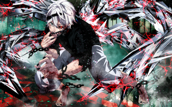 Detail Download Wallpaper Tokyo Ghoul Nomer 37