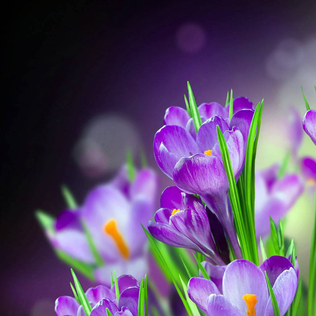 Download Walpaper Cantik - KibrisPDR