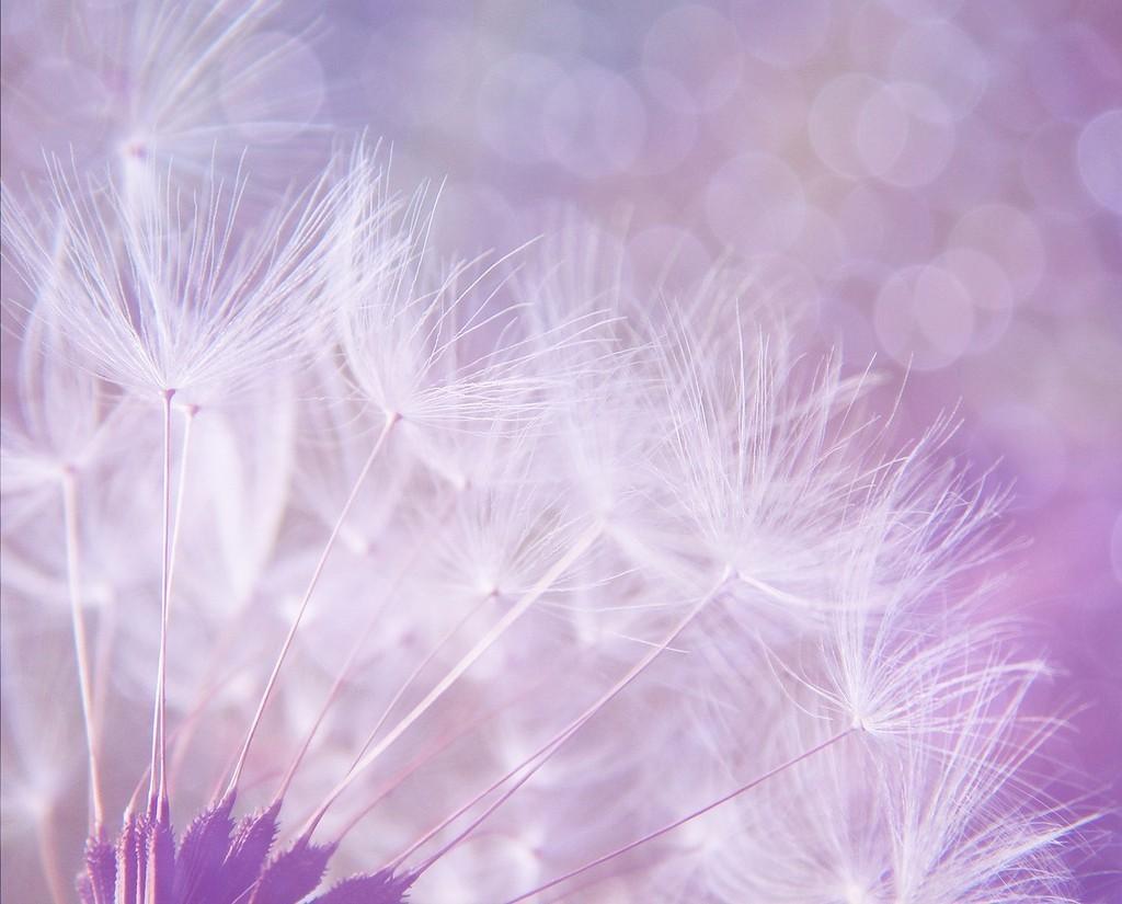 Detail Download Walpaper Cantik Nomer 20