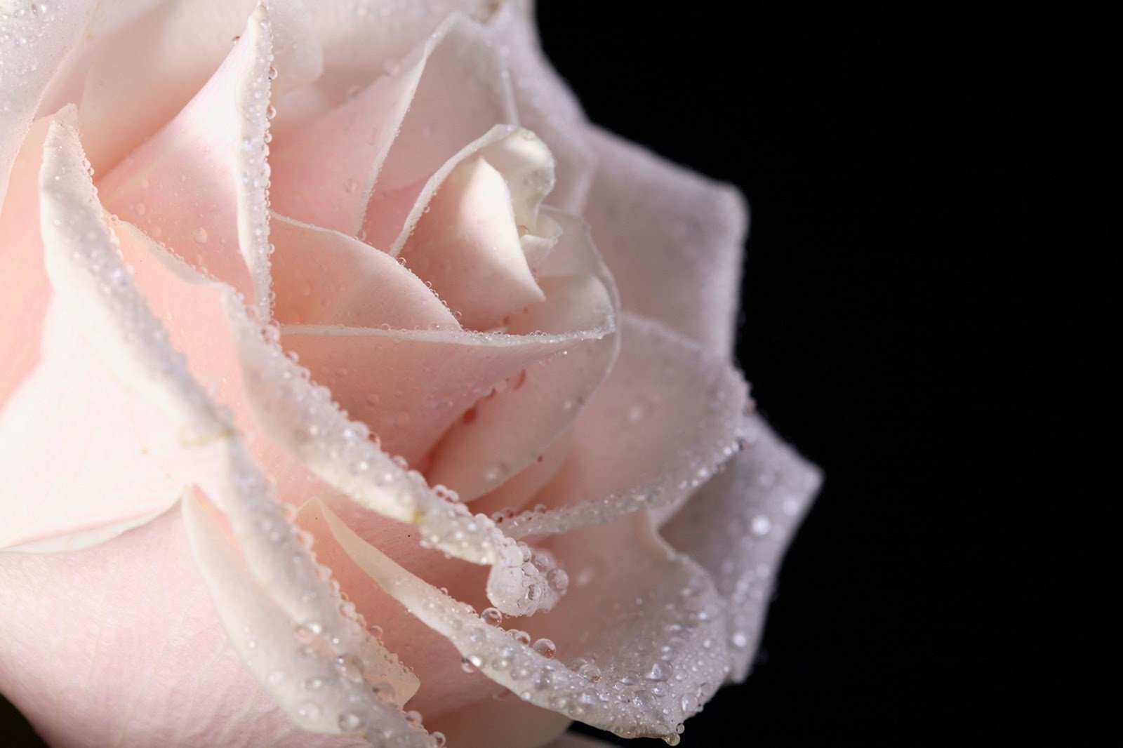 Detail Download Walpaper Cantik Nomer 26