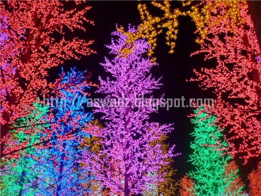 Detail Download Walpaper Cantik Nomer 8