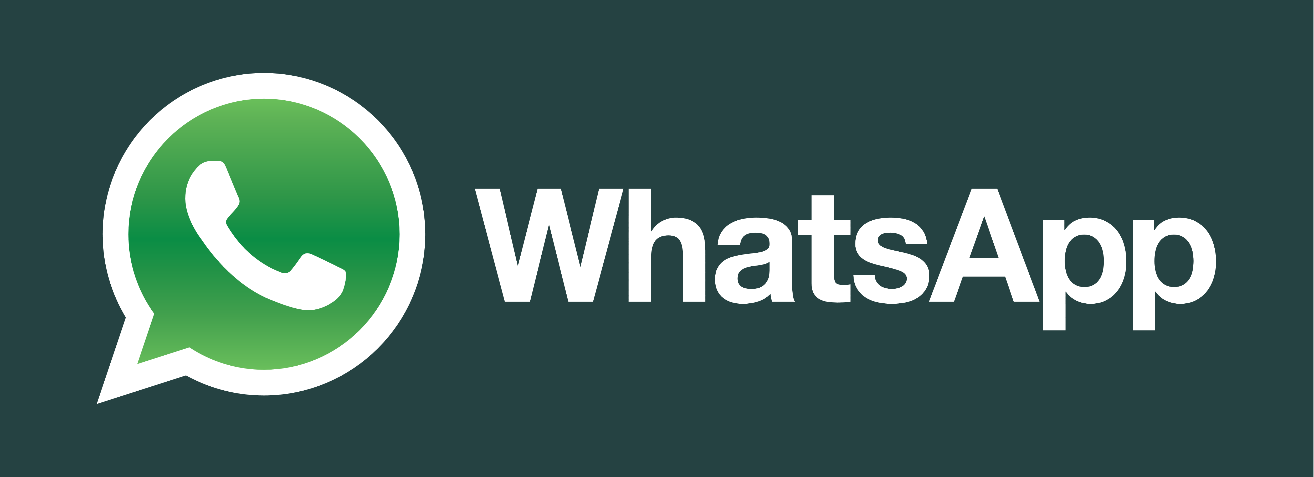 Detail Download Whatsapp Logo Nomer 13