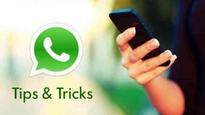 Detail Download Whatsapp Warna Warni Nomer 29