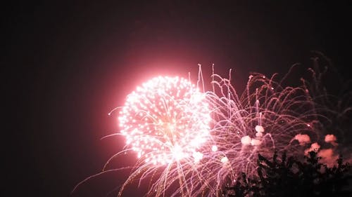 Detail Downloadable Fireworks Nomer 29