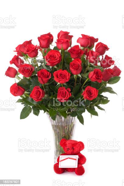 Detail Downloadable Pictures Of Roses Nomer 36