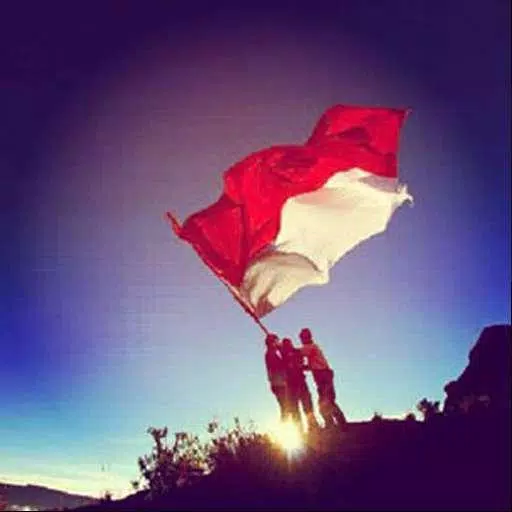 Detail Dp Bbm Bendera Nomer 14