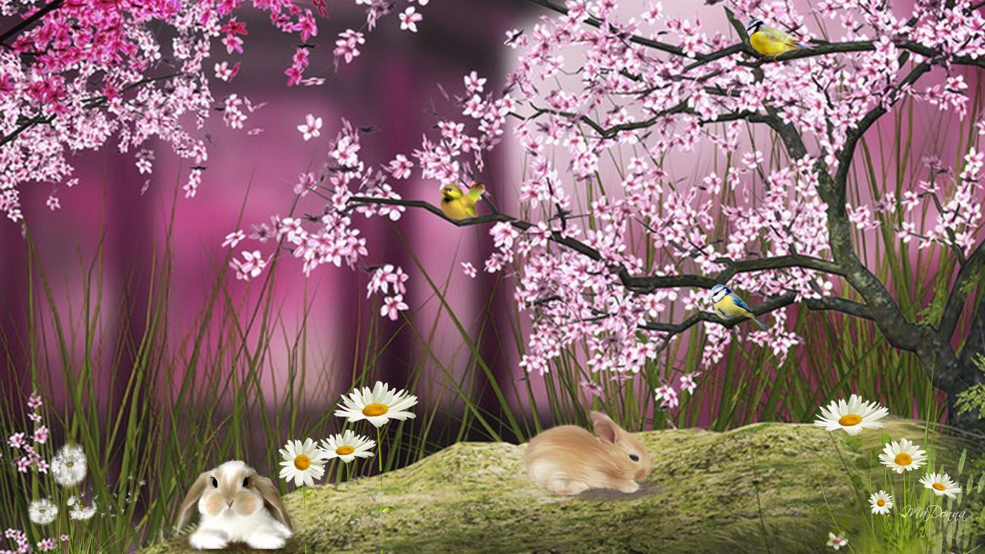Detail Dp Bbm Bergerak Bunga Sakura Nomer 31