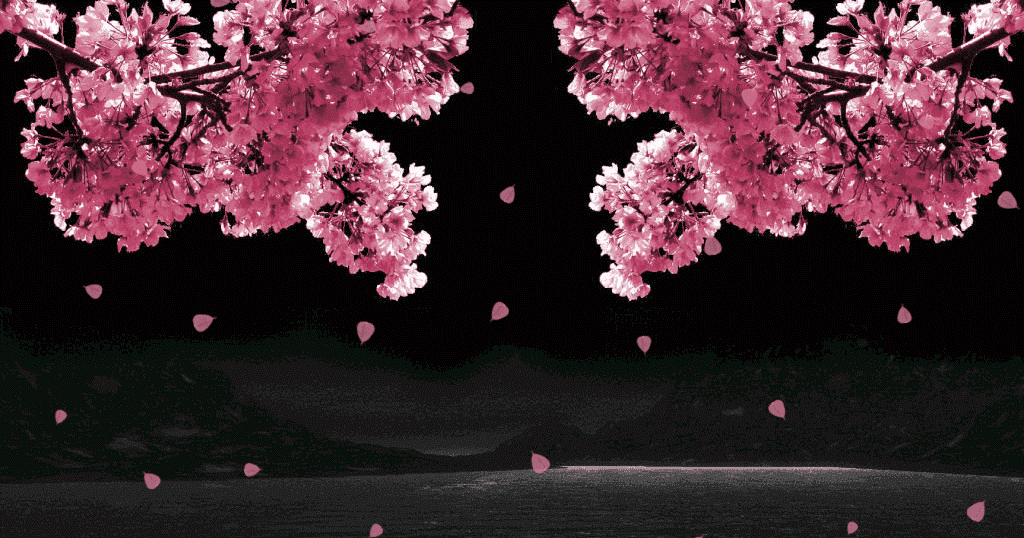 Detail Dp Bbm Bergerak Bunga Sakura Nomer 5