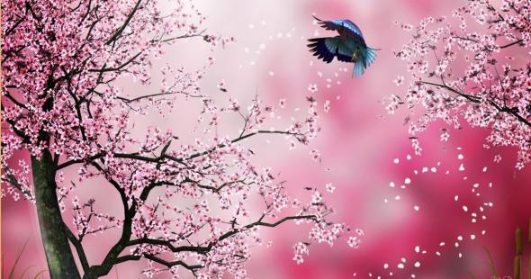 Detail Dp Bbm Bergerak Bunga Sakura Nomer 42