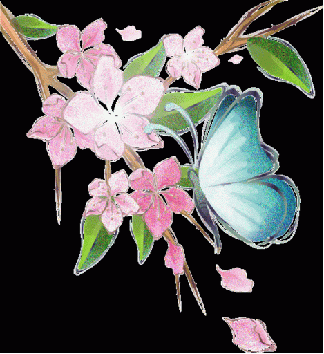 Detail Dp Bbm Bergerak Bunga Sakura Nomer 44