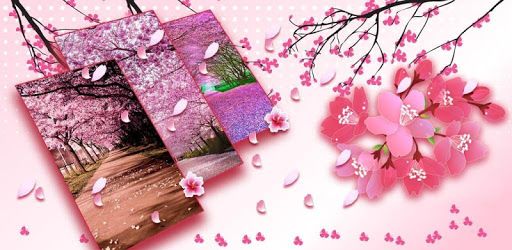 Detail Dp Bbm Bergerak Bunga Sakura Nomer 49