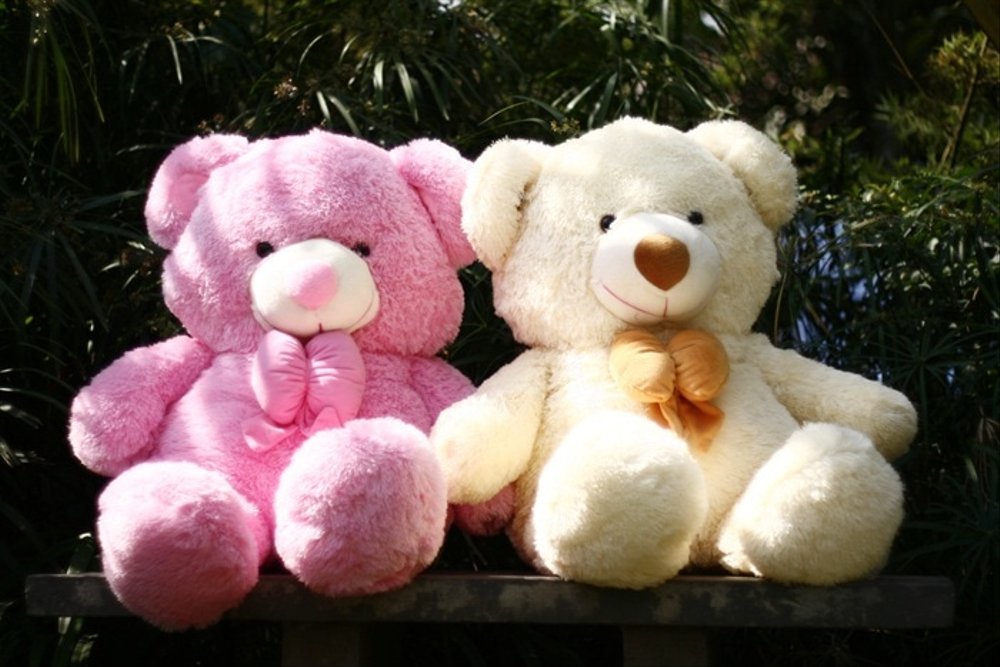 Detail Dp Bbm Boneka Lucu Nomer 7
