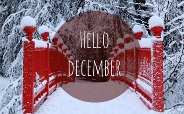 Detail Dp Bbm Bulan Desember Nomer 15