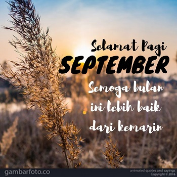 Detail Dp Bbm Bulan Desember Nomer 43