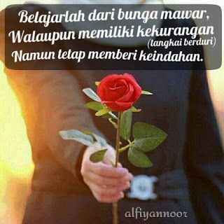 Detail Dp Bbm Bunga Cantik Nomer 51