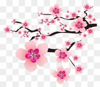 Detail Dp Bbm Bunga Sakura Nomer 28
