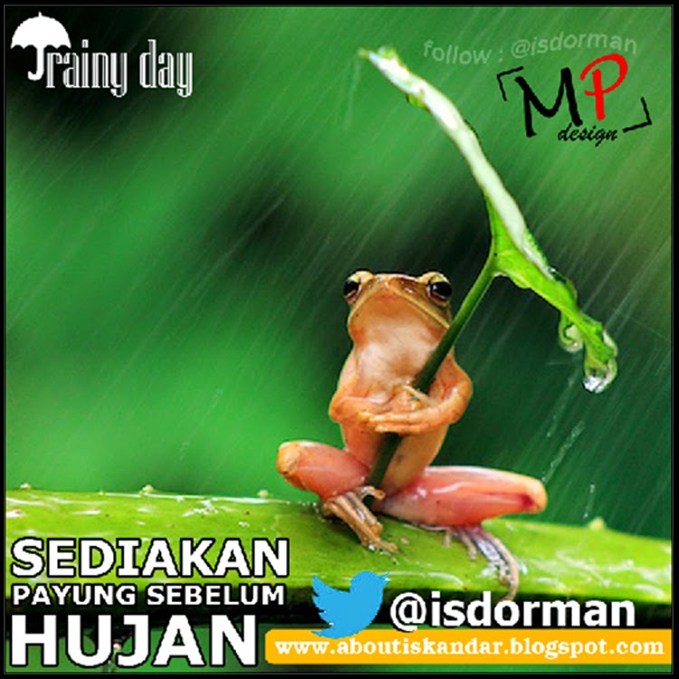 Detail Dp Bbm Hujan Bergerak Romantis Nomer 10