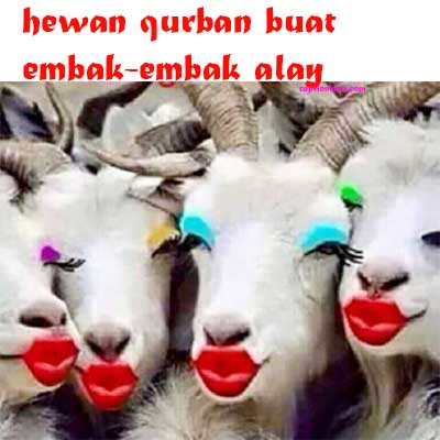 Detail Dp Bbm Kambing Nomer 10