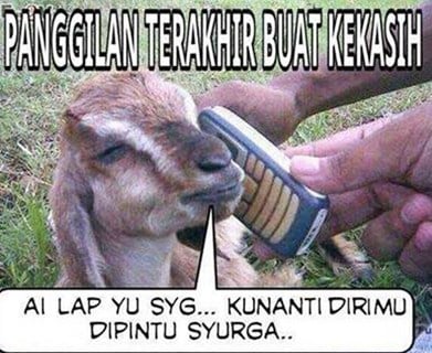 Detail Dp Bbm Kambing Nomer 20