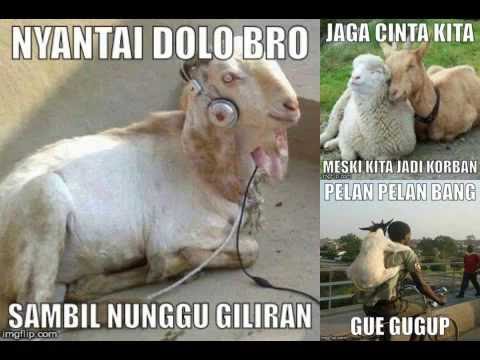 Detail Dp Bbm Kambing Nomer 29