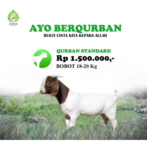 Detail Dp Bbm Kambing Nomer 42