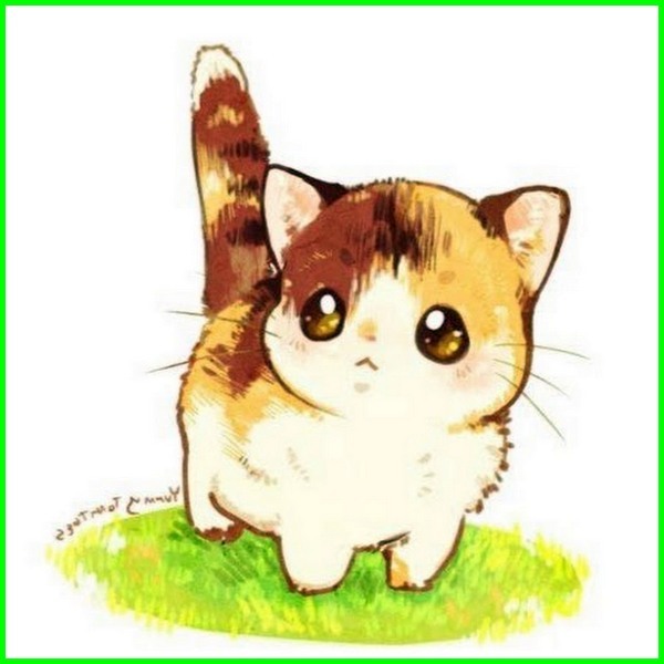 Detail Dp Bbm Kucing Nomer 46