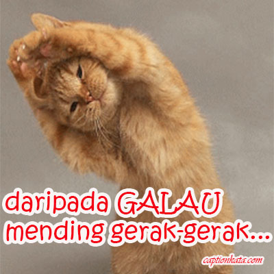 Detail Dp Bbm Kucing Galau Nomer 8