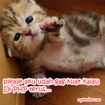 Detail Dp Bbm Kucing Galau Nomer 12