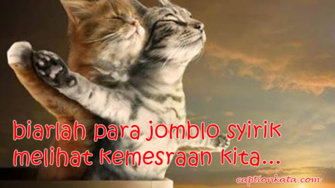 Detail Dp Bbm Kucing Galau Nomer 16