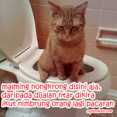 Detail Dp Bbm Kucing Galau Nomer 20