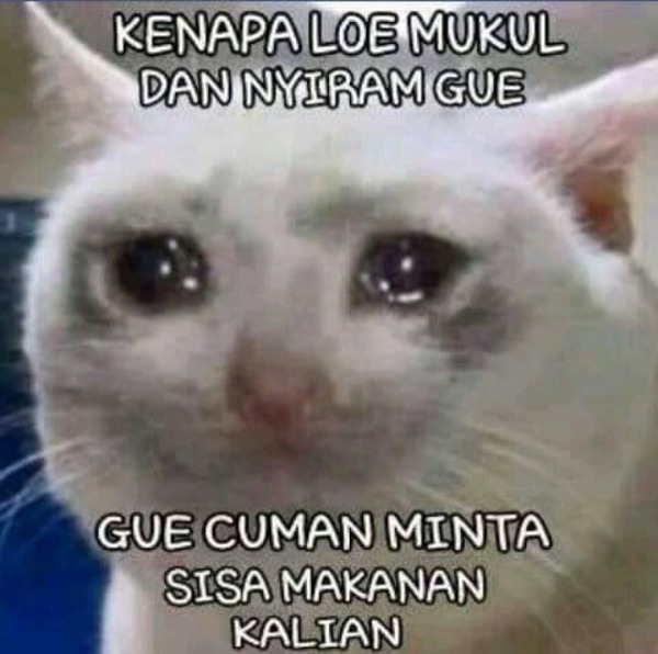 Detail Dp Bbm Kucing Galau Nomer 21