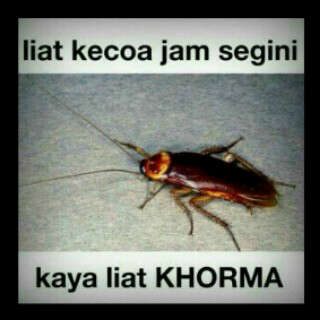 Detail Dp Bbm Lemes Nomer 44