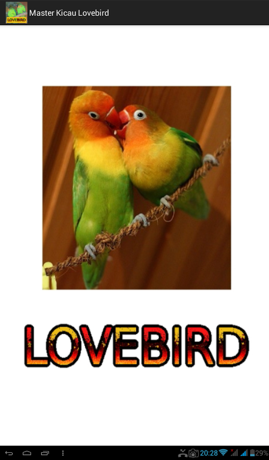 Detail Dp Bbm Lovebird Lucu Nomer 38