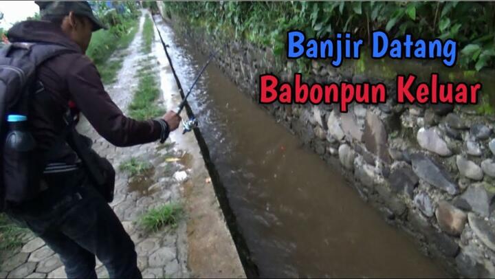 Detail Dp Bbm Mancing Nomer 50